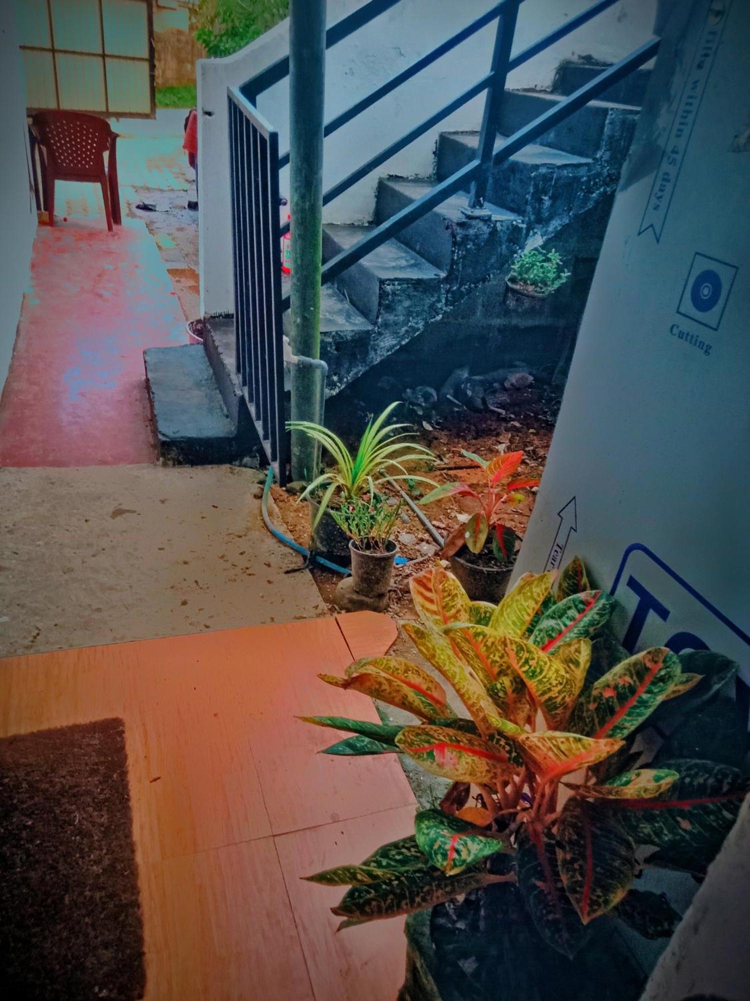 Sandaru Surffing Inn Weligama Ngoại thất bức ảnh