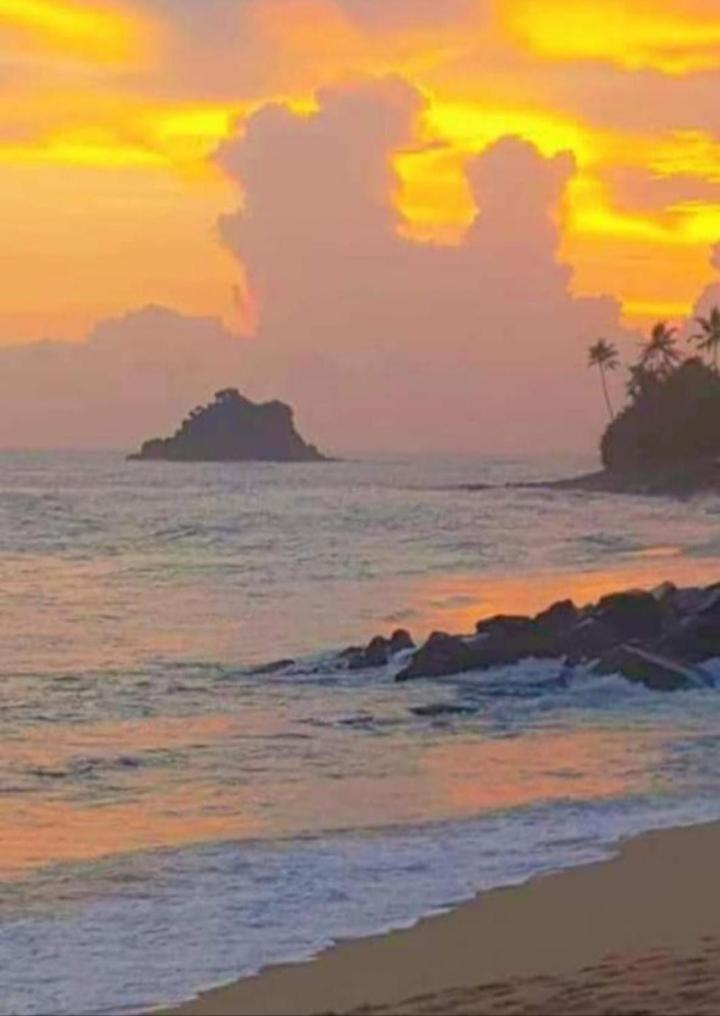Sandaru Surffing Inn Weligama Ngoại thất bức ảnh