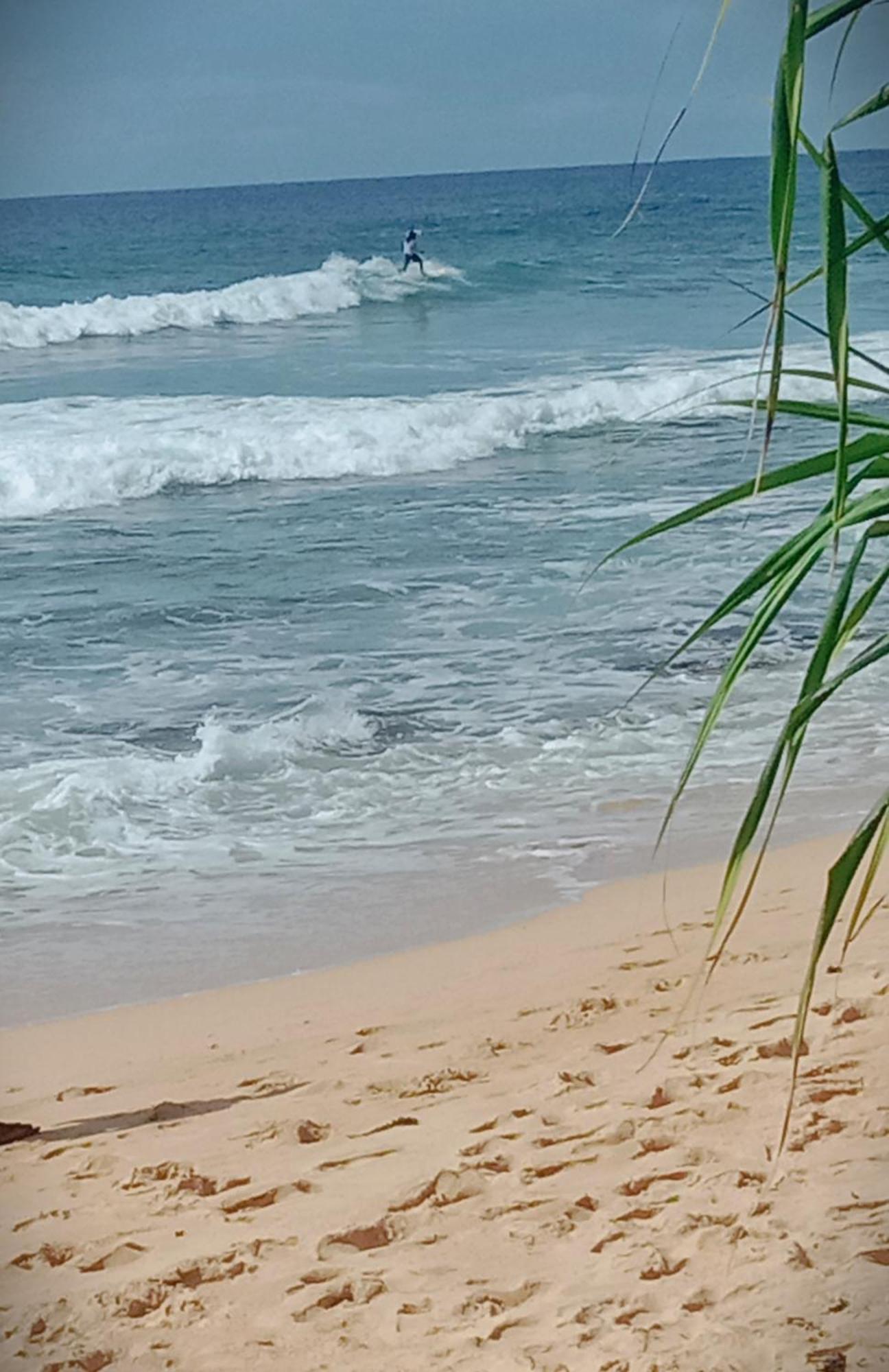 Sandaru Surffing Inn Weligama Ngoại thất bức ảnh