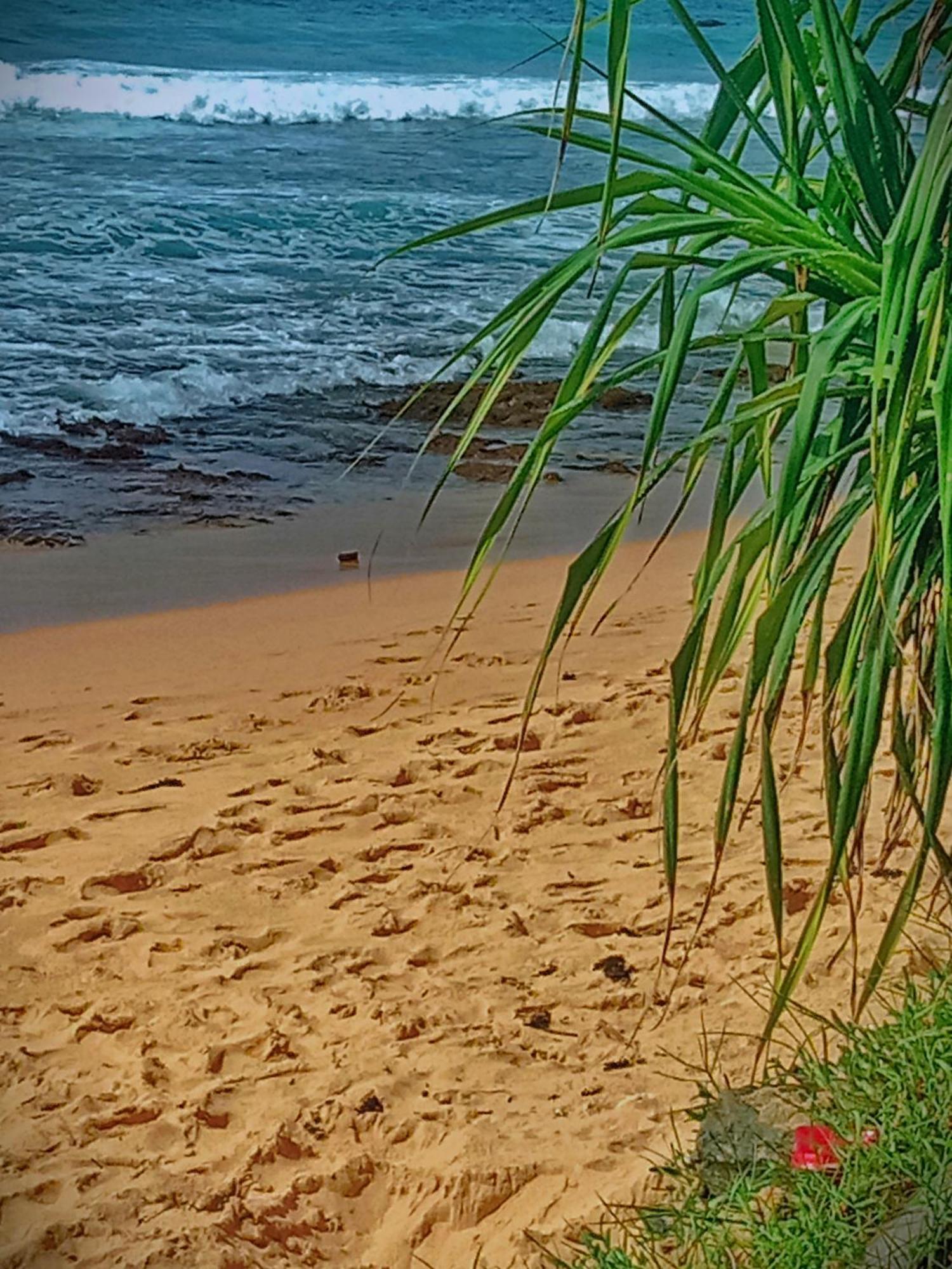 Sandaru Surffing Inn Weligama Ngoại thất bức ảnh